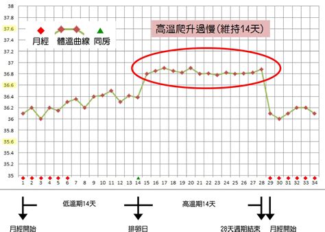 懷孕溫度